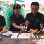 2019最後の赤肉メロン『ルピアレッド』を食レポ！：北海道 富良野 メロン農家の寺坂農園