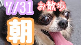 7/31朝☀️羽田空港近くのペットホテルエアライン羽田にご宿泊中のペットちゃん達のご様子です。