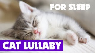 Cat lullaby for your PET ♫ music for sleep