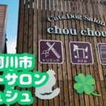 那珂川市Cat＆Dog Salon ChouCho(シュシュ)のペットホテル紹介