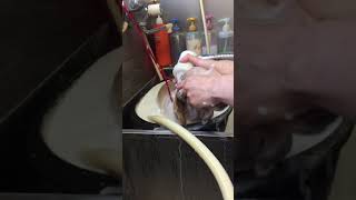 マイクロバブル【ゴン太】【ペットサロンわんわん】