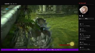 普段は寡黙な人がゲーム実況する【ワンダと巨像】＃1３