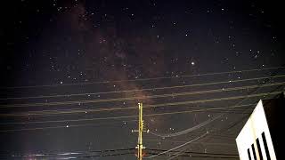 ペット葬儀・ペット火葬[永遠の天使達 2019-7月]