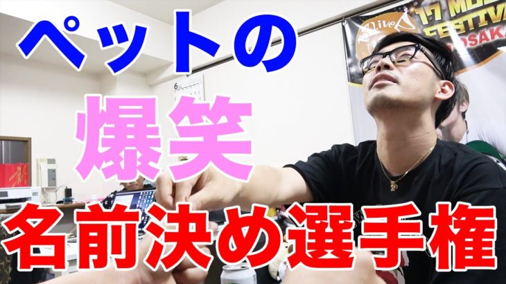 日本一おもしろいペットの名前の決め方！