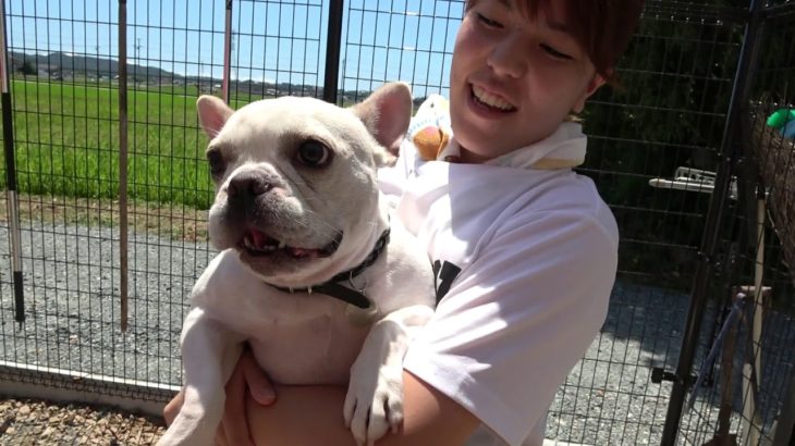 ペットホテル x 犬のしつけ　2019.08.11