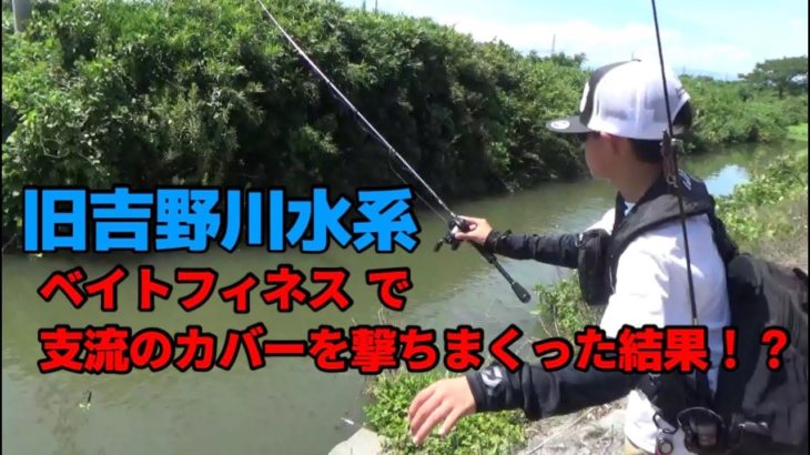 【衝撃映像あり】中2が旧吉野川水系支流をベイトフィネス で挑んだ結果・・