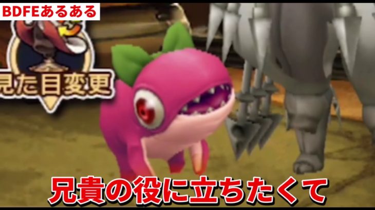 【BDFE】Mr.すまないがBDFEに登場（ペット編）