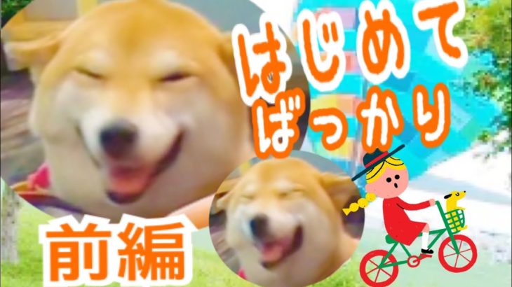 ペットと泊まれる宿（山梨県.ワンズリゾート山中湖）家族旅行に行く犬   【前編】❤️柴犬もみさん Shiba Inu Momisan goes on a family trip  first part