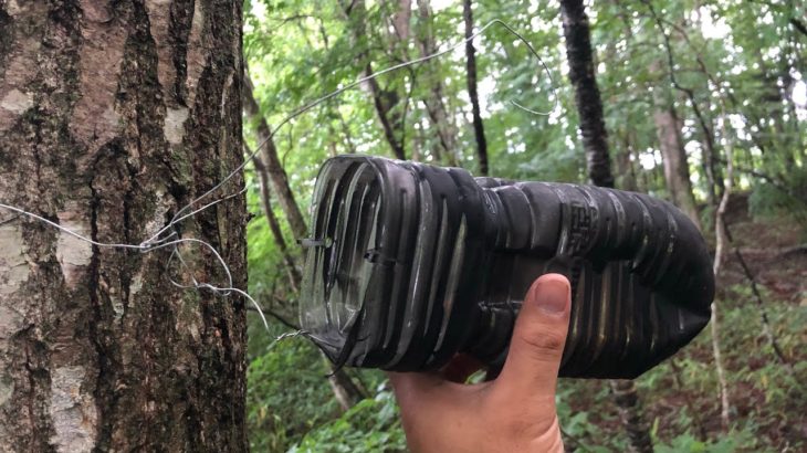 ペットボトルで作れる、カブトムシが無限に捕れるトラップ