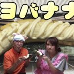 【マヨラー食】バナナにたっぷりマヨネーズで新感覚のスイーツ発見！？