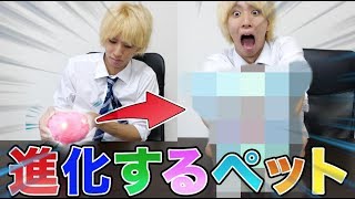 【最先端】ガチで進化するペット