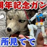 【実践】【商品レビュー】ガンプラ40周年！ゼロから作ってみた【Wolfin made a Gundam model】