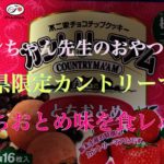 栃木県限定カントリーマーム　とちおとめ味を食レポ　マリンちゃん先生のおやつタイム
