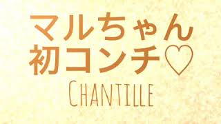 念願のコンチ‼️  マルコ君ペットコンチデビュー♡