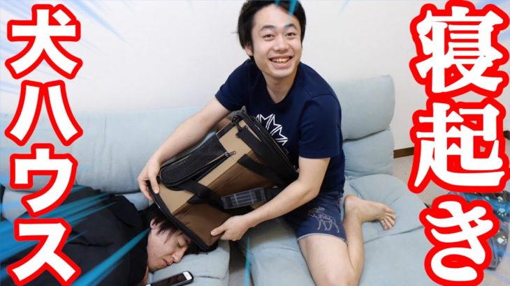 ぺけたん寝起きドッキリをしようと思ったらヤバすぎる夢を見てました！？