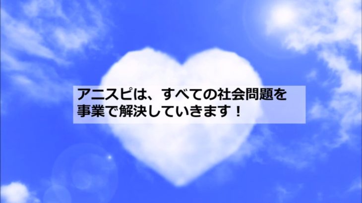 アニスピホールディングスってどんな会社？