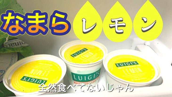 【第二回】商品紹介が苦手だけどアメリカの商品紹介するんだ！レモンアイス