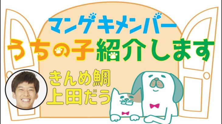 【マンゲキペット自慢】うちの子紹介します！～きんめ鯛 上田だう編～