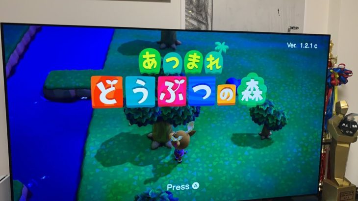 【直撮り実況】かぶどうしよか、、甥っ子にたすけてもらお！