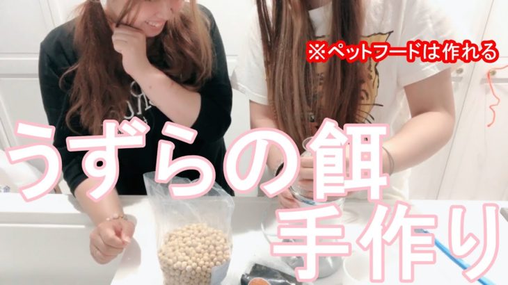 【うずらの餌手作り】ペットのご飯は作れる