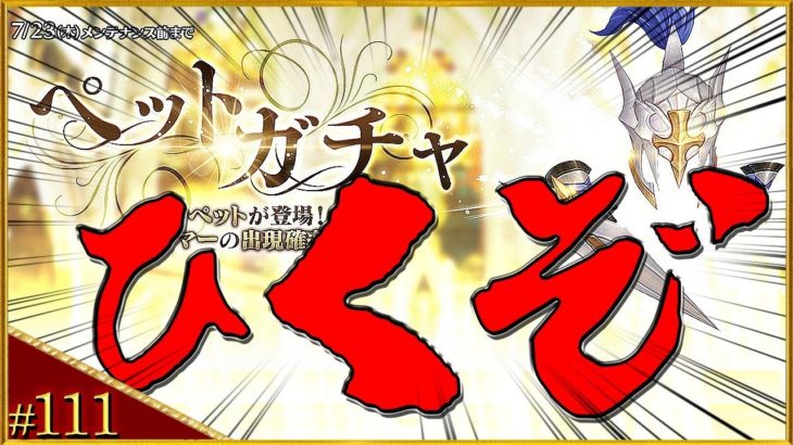 【ガチャ】新ペット”Mr.アーマー”引く！断固として引く！『セブンナイツ／Seven Knights』