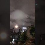 ヒカキン　ヒカキン大好き　フィッシャーズ　フィッシャーズ大好き　くうちゃん　パピヨン　子犬　犬　ワンちゃん　チャンネル登録お願いいたします。