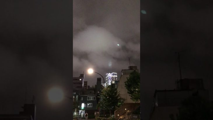 ヒカキン　ヒカキン大好き　フィッシャーズ　フィッシャーズ大好き　くうちゃん　パピヨン　子犬　犬　ワンちゃん　チャンネル登録お願いいたします。