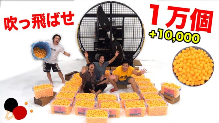 10,000個のピンポン玉を巨大扇風機で吹っ飛ばしたらいくつ取れる？！