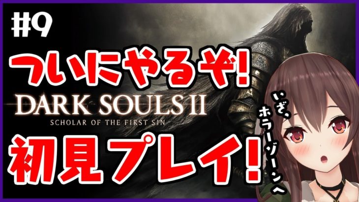 【ダークソウル2/DARK SOULSⅡ】朝活！！な、なんかホラーなゾーンに侵入してしまったぞ・・・【ゲーム実況】八重沢なとり VTuber