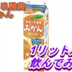 [商品紹介 #2]果実乳酸菌 みかん(エルビー)