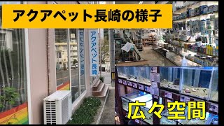 アクアペット長崎の様子