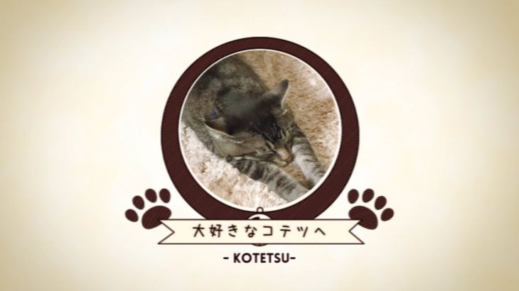 ペットのメモリアルムービー