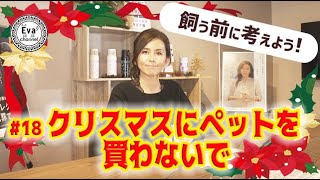 #18 クリスマスにペットを買わないで ～飼う前に考えよう～