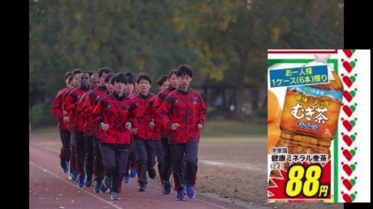 2020年12月4日のお買い得商品紹介