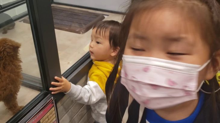 ペットショップで動物を可愛がる咲蘭と紫苑 펫샵에서 동물들 이뻐하는 사랑이와 시온이