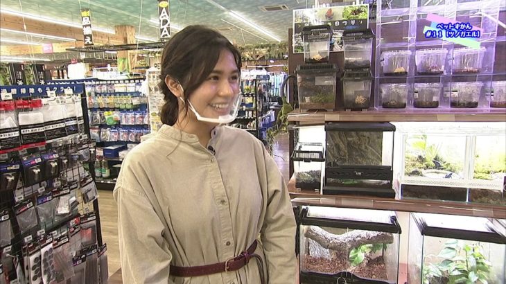 ペットずかん#11ツノガエル【2020/12/10 放送】