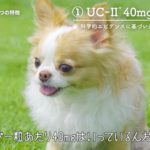 【商品PR動画】ベトキノールゼノアック株式会社様_フレキサディンアドバンス紹介映像（PROOX制作実績）