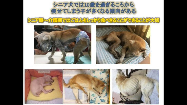 ユニチャーム後編