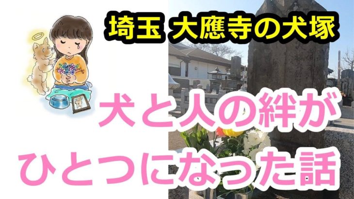 【ペットロス】犬塚で犬と人の絆がひとつになった話 埼玉県 大應寺 犬の死