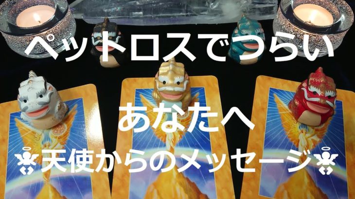 ペットロスでつらいあなたへ～天使からのメッセージ