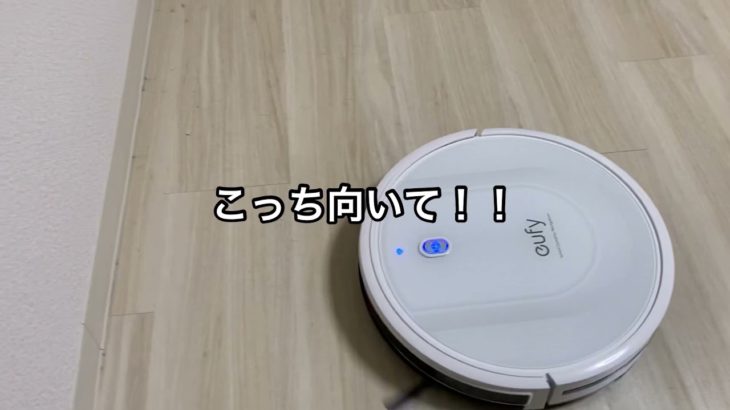 ペット飼い始めました