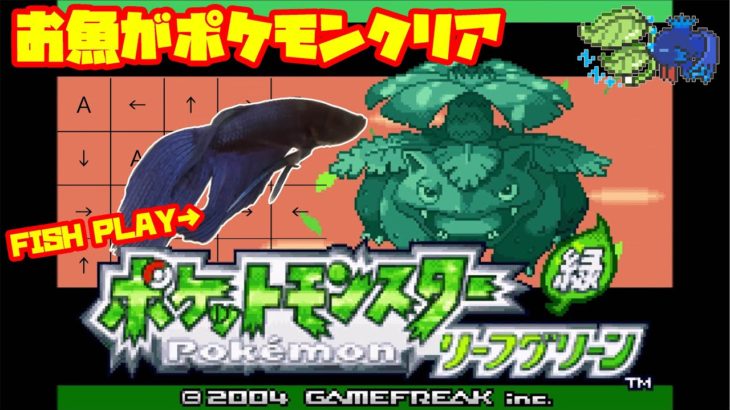 【3165h~_ ポケモンリーグ編】ペットの魚がポケモンクリア_Fish Play Pokemon【作業用BGM】