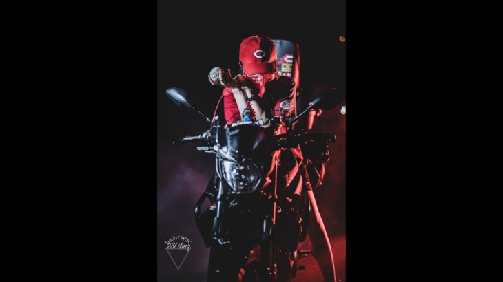 【^-^】読書（ペットロスの本）