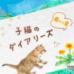 子猫のダイアリーズ