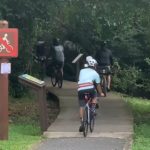 Group of cyclists defy no-riding sign as they casually cycle along boardwalk in Pasir Ris Park