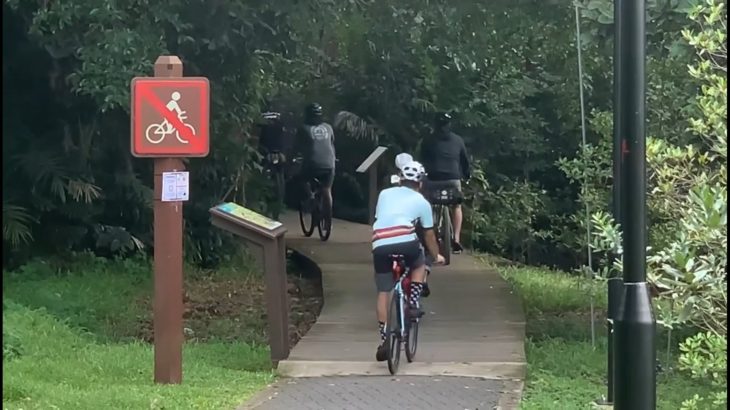 Group of cyclists defy no-riding sign as they casually cycle along boardwalk in Pasir Ris Park