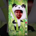 TikTok パンダベビー　フィッシャーズマサイ