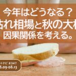 今年はどうなる？夏枯れ相場と秋の大相場の因果関係を考える。/週ナビ#347
