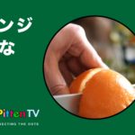 PittenTV_ORANGE_#004