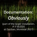 Obviously (installation documentation, Dazibao 2021)